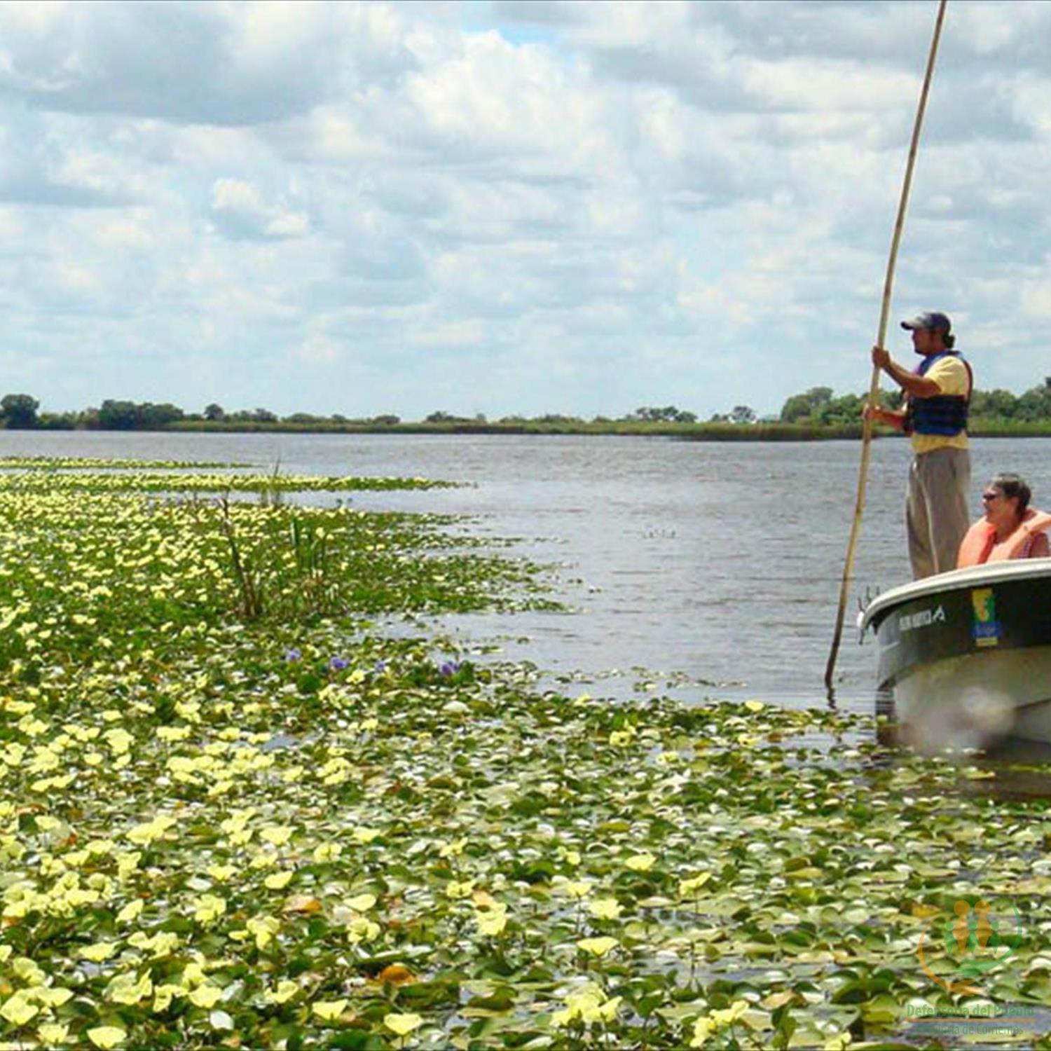 Esteros del Iberá